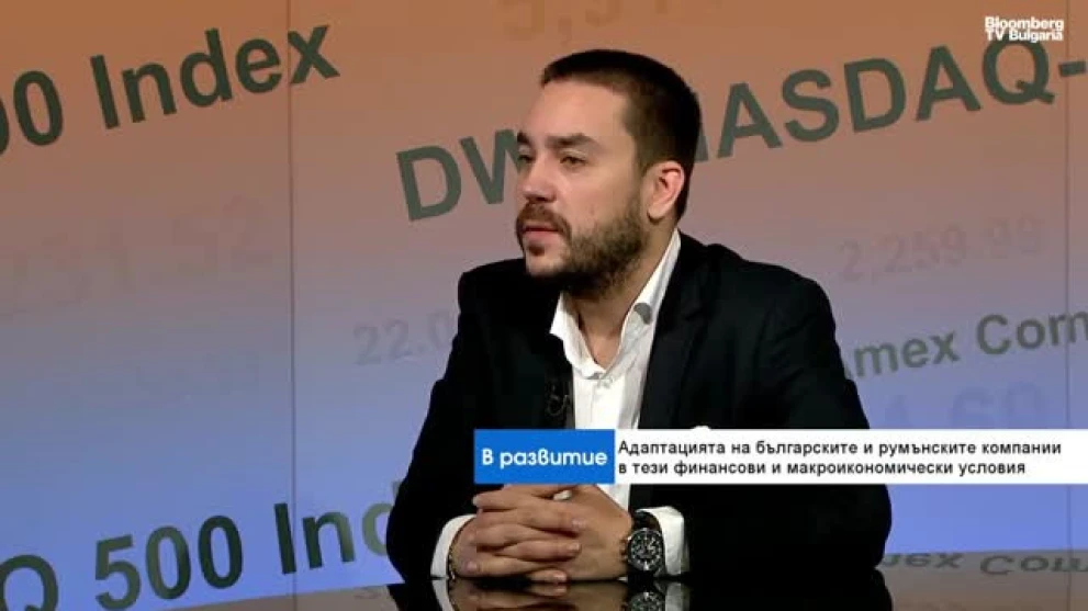 V. Gugushev for Bloomberg: The Euro Will Not Increase Romanian Investments in Bulgaria